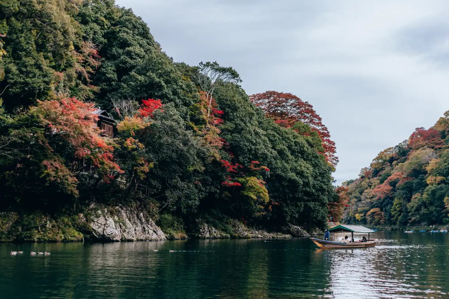 Bamboe bos in Arashiyama, Kyoto