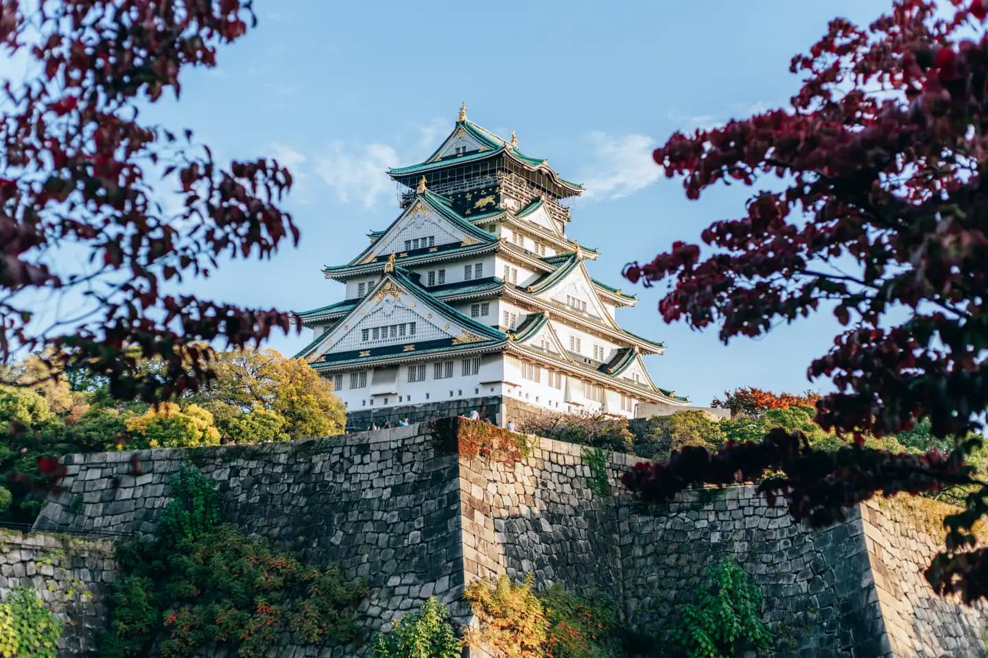 Osaka Castle omringd door kersenbloesem, Japan
